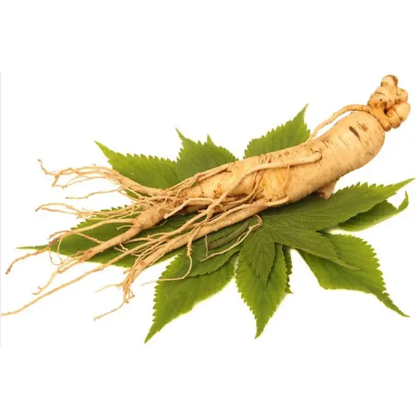 https://www.herbal-ingredients.com/ginseng-leaf-extract.html